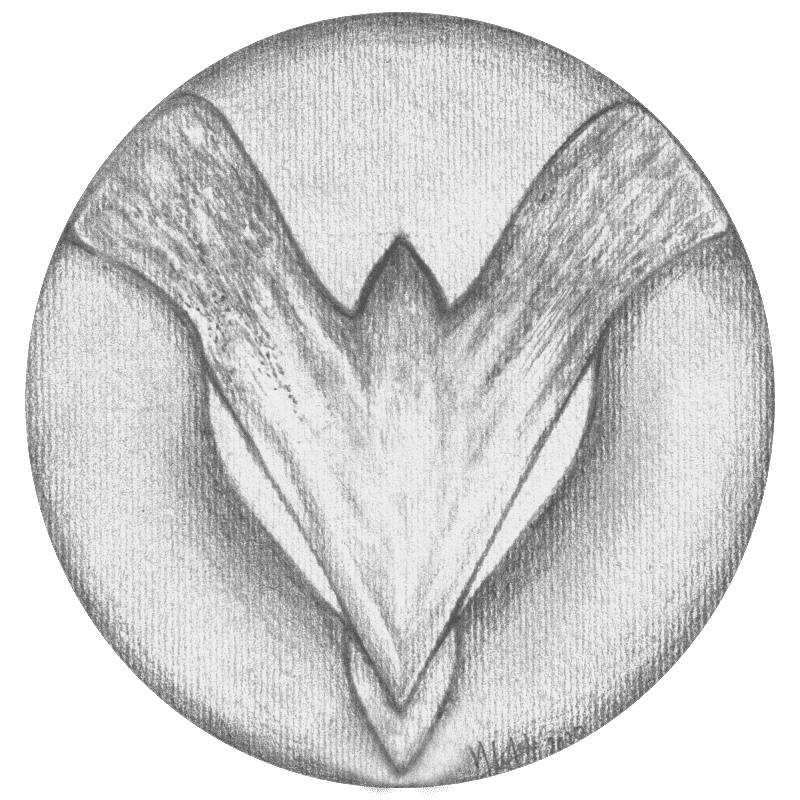Spektatum Logo 2026